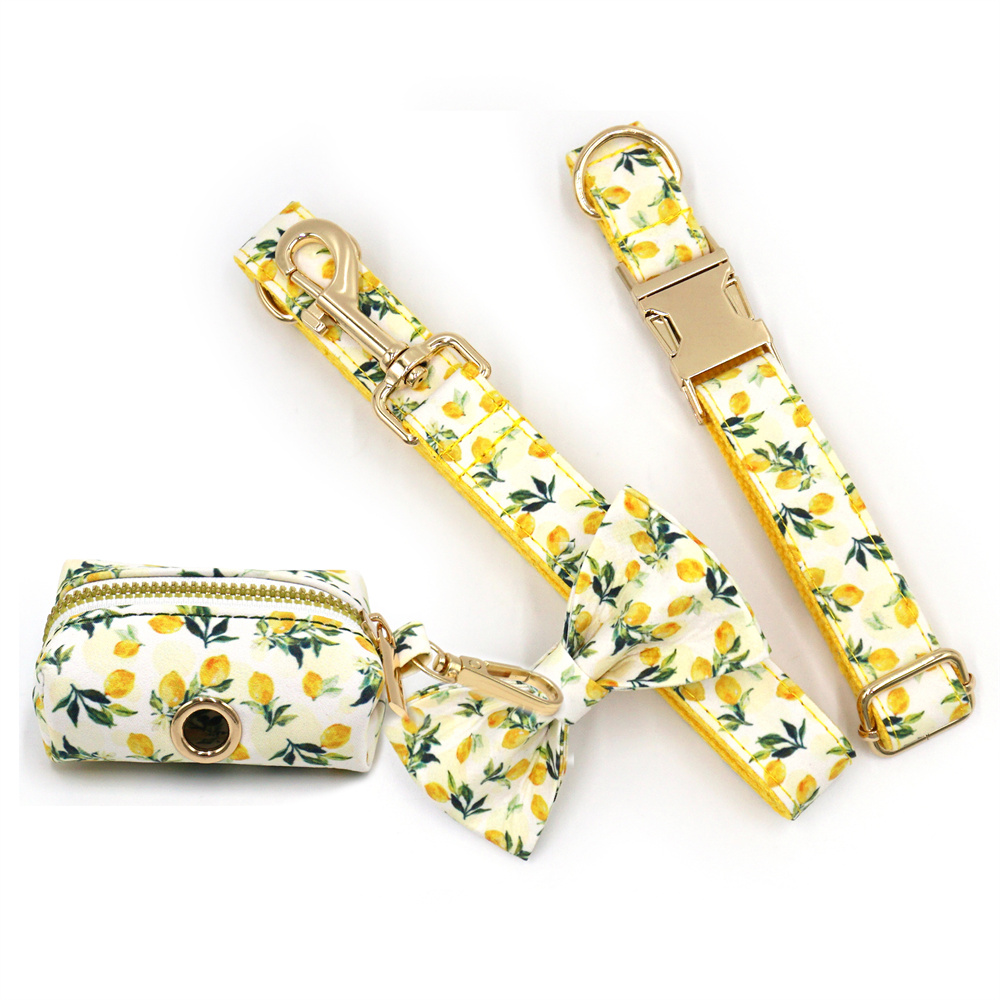 Luxury Bags Medium Size - Collier pour animaux de compagnie personnalisé