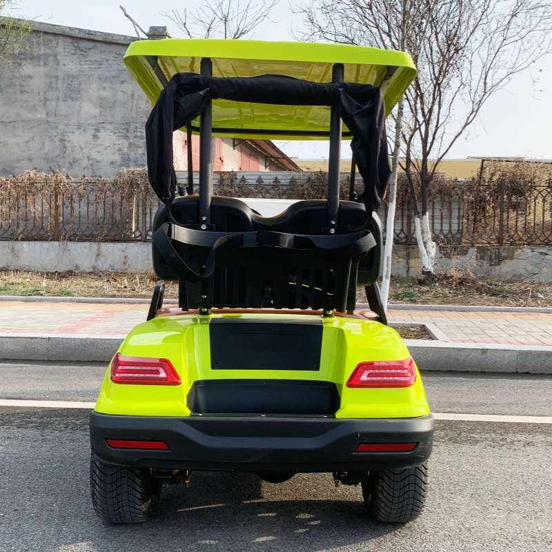 Voiturette de golf électrique  - Luxury Bags Price avis et prix