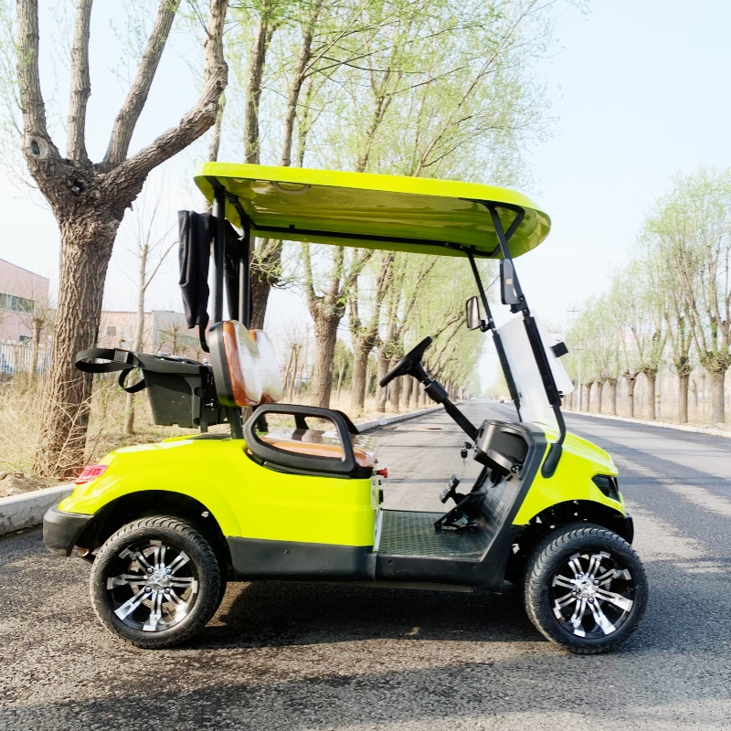 Voiturette de golf électrique  - Luxury Bags Price avis et prix