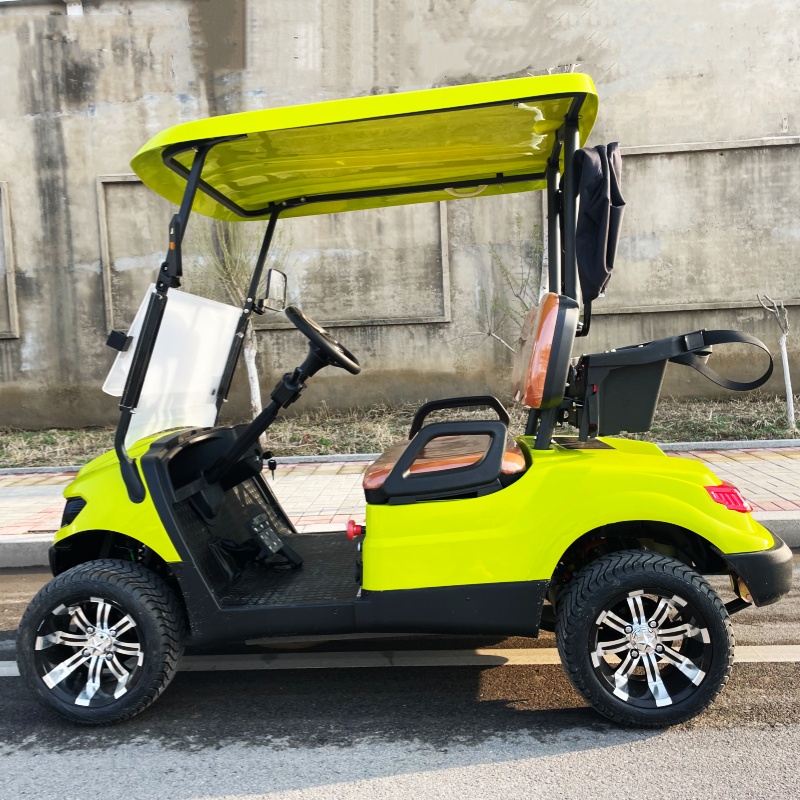 Voiturette de golf électrique  - Luxury Bags Price avis et prix
