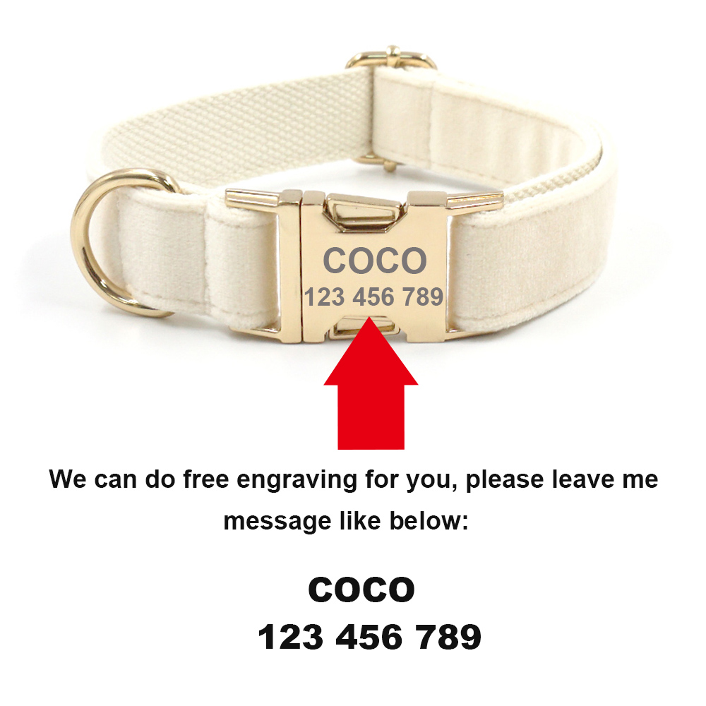 Collier pour animaux de compag - Luxury Bags Medium Size avis et prix